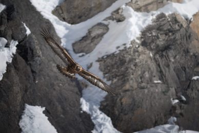 tour-fotografico-winter-switzerland-aquila