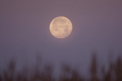 Moon-Tuscany-workshop-nature-photography-introductory