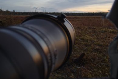 wild-finland-workshop-fotografia-naturalistica-wildlife-photography-workshop