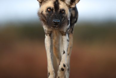 WEB_DSC8957-Recovered-sharpened