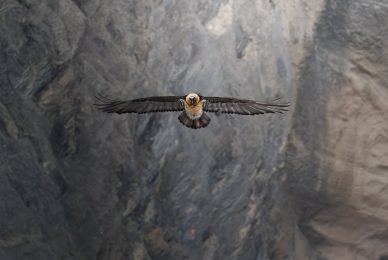 tour-fotografico-winter-switzerland-gipeto