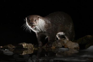 d02323c5-10cb-4262-b436-1256b62b8fe5