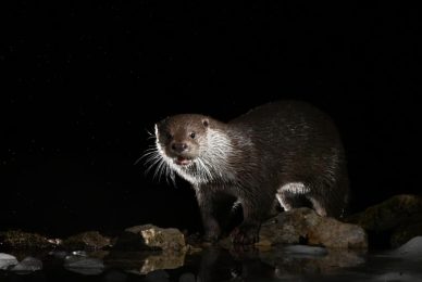 d02323c5-10cb-4262-b436-1256b62b8fe5