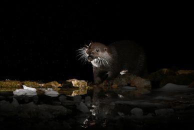 da71d3f7-a238-416f-8f1b-62dcf589caf8