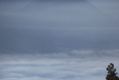 camoscio-appenninico-nel-Parco nazionale-dei-monti-sibillini